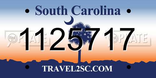 1125717 South Carolina License Plate