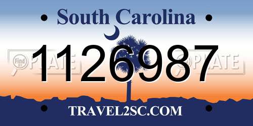 1126987 South Carolina License Plate