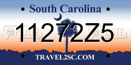 11272Z5 South Carolina License Plate