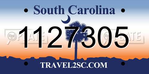 1127305 South Carolina License Plate