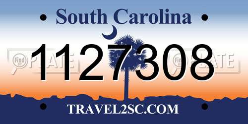 1127308 South Carolina License Plate