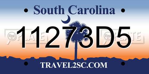 11273D5 South Carolina License Plate