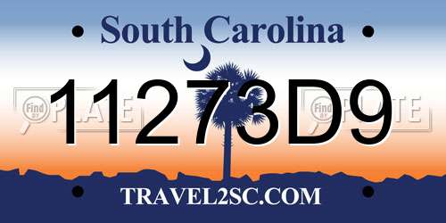 11273D9 South Carolina License Plate