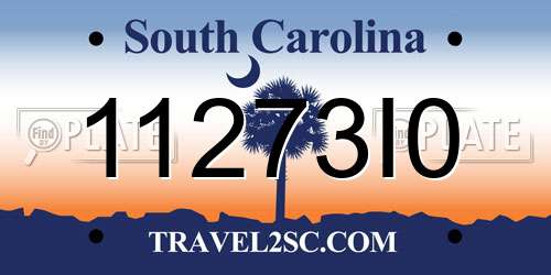 11273I0 South Carolina License Plate