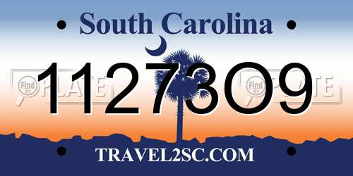 11273O9 South Carolina License Plate