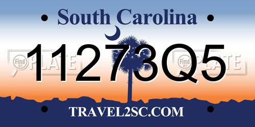 11273Q5 South Carolina License Plate