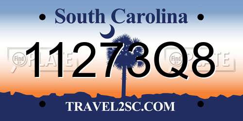 11273Q8 South Carolina License Plate