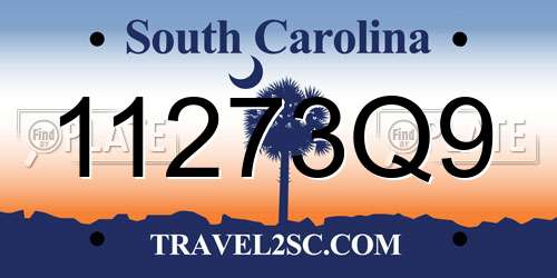 11273Q9 South Carolina License Plate