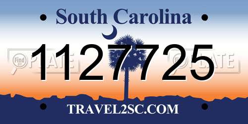1127725 South Carolina License Plate