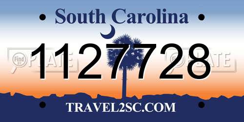 1127728 South Carolina License Plate