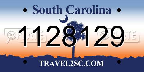 1128129 South Carolina License Plate