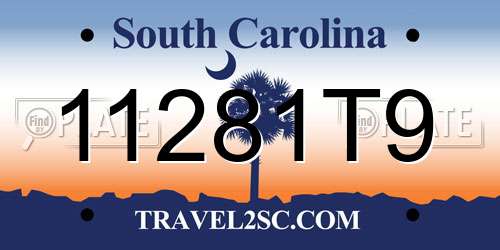 11281T9 South Carolina License Plate