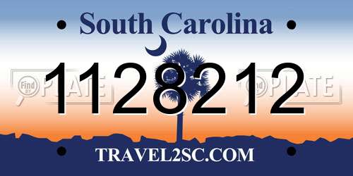 1128212 South Carolina License Plate
