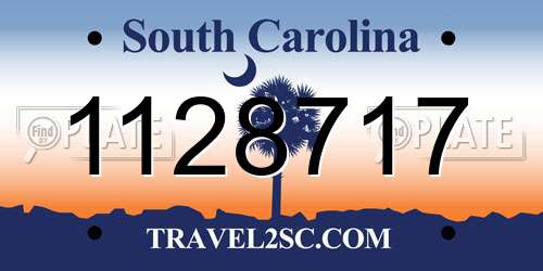 1128717 South Carolina License Plate