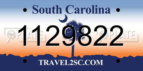 1129822 South Carolina License Plate