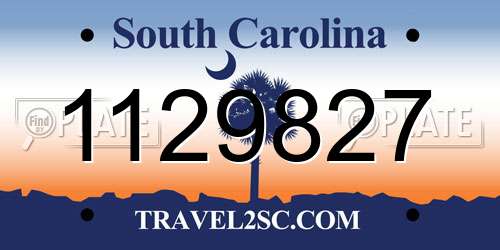 1129827 South Carolina License Plate