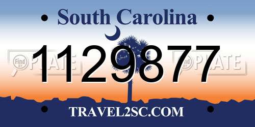 1129877 South Carolina License Plate