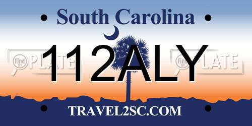 112ALY South Carolina License Plate
