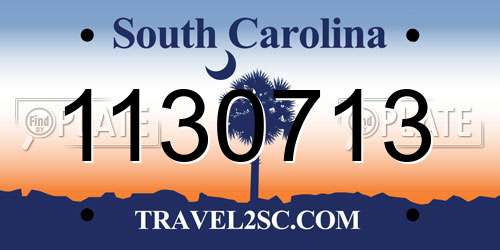 1130713 South Carolina License Plate