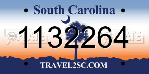 1132264 South Carolina License Plate