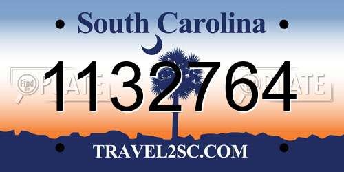 1132764 South Carolina License Plate