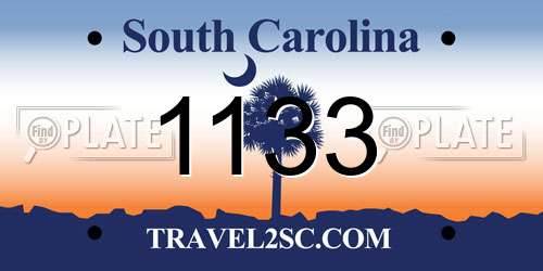 1133 South Carolina License Plate