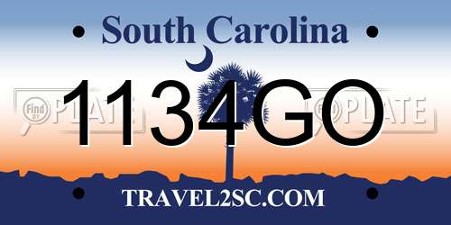1134GO South Carolina License Plate