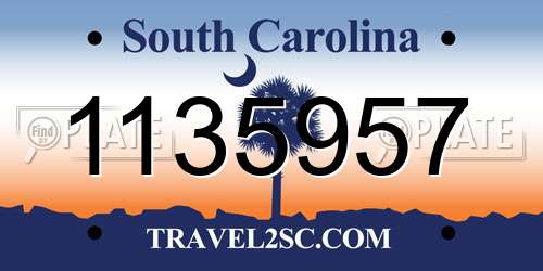 1135957 South Carolina License Plate