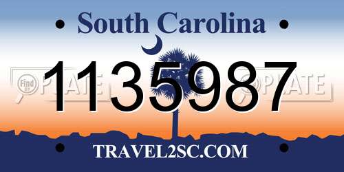 1135987 South Carolina License Plate