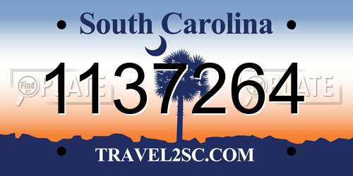 1137264 South Carolina License Plate