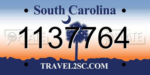 1137764 South Carolina License Plate
