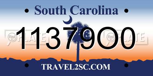11379O0 South Carolina License Plate