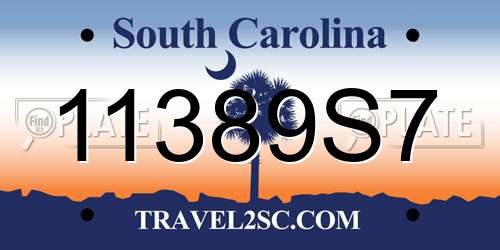 11389S7 South Carolina License Plate