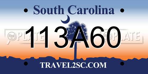 113A60 South Carolina License Plate