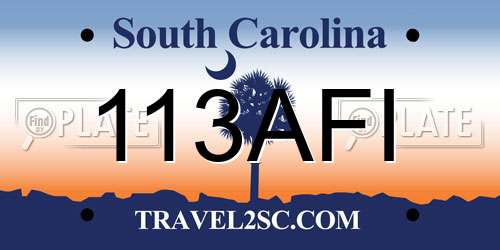 113AFI South Carolina License Plate