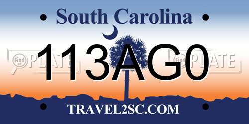 113AG0 South Carolina License Plate