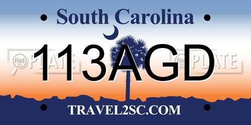 113AGD South Carolina License Plate