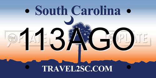 113AGO South Carolina License Plate