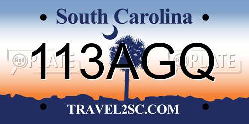 113AGQ South Carolina License Plate