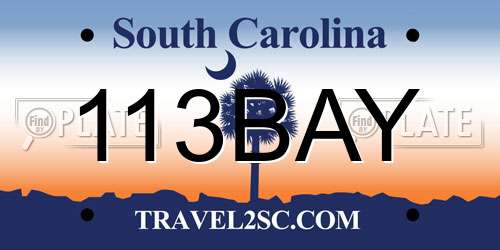 113BAY South Carolina License Plate
