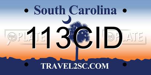 113CID South Carolina License Plate
