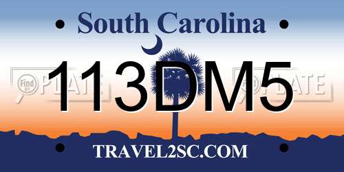 113DM5 South Carolina License Plate