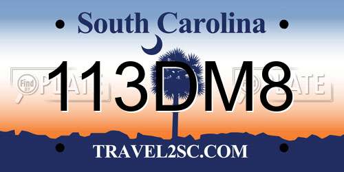 113DM8 South Carolina License Plate