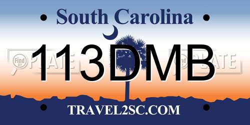 113DMB South Carolina License Plate