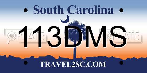 113DMS South Carolina License Plate