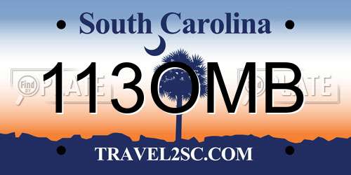 113OMB South Carolina License Plate
