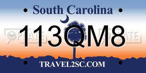 113QM8 South Carolina License Plate
