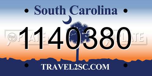 1140380 South Carolina License Plate