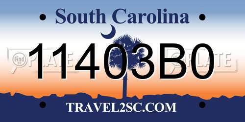 11403B0 South Carolina License Plate