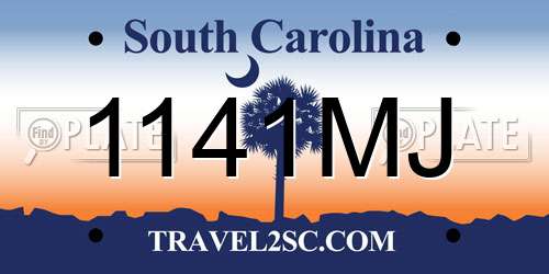 1141MJ South Carolina License Plate